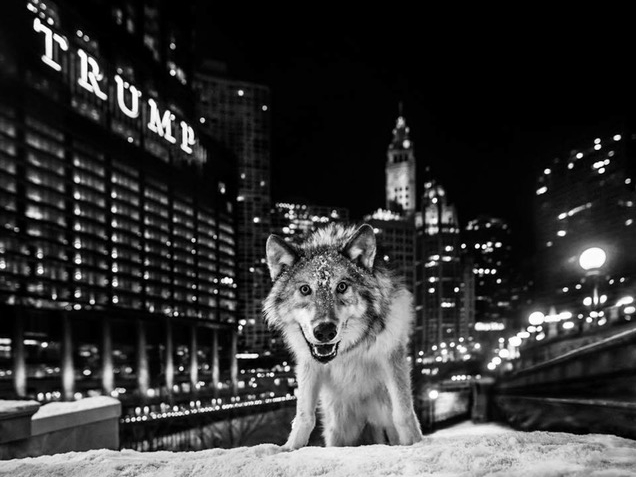 David_Yarrow_It_Is_Only_A_Matter_Of_Time_Hilton_Asmus_Contemporary