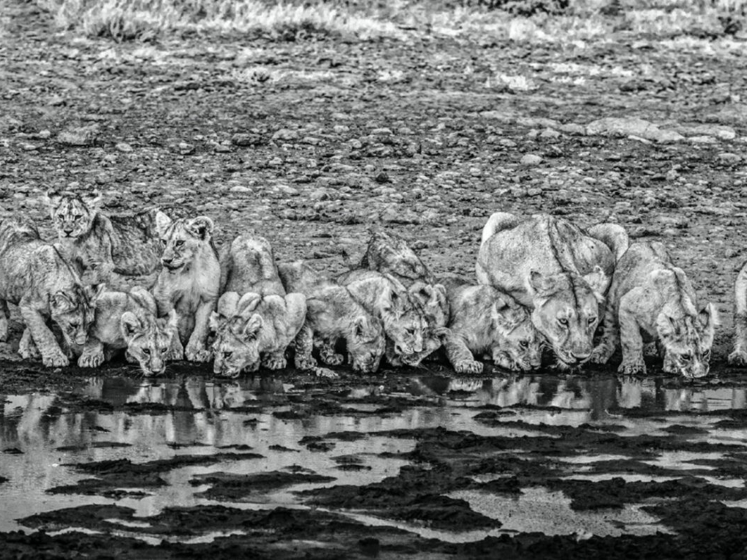 David_Yarrow_One_for_the_Road_Hilton_Asmus_Contemporary