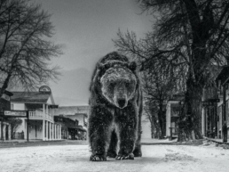David_Yarrow_Out_of_Towner_Hilton_Asmus_Contemporary